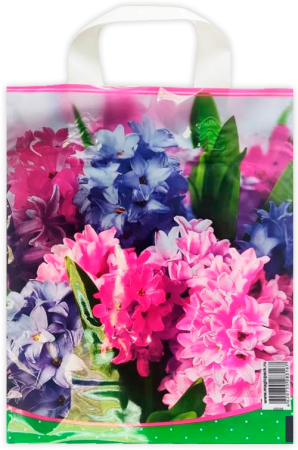 пакет петл.25х30 Гиацинт лам. 60 мкм ШК